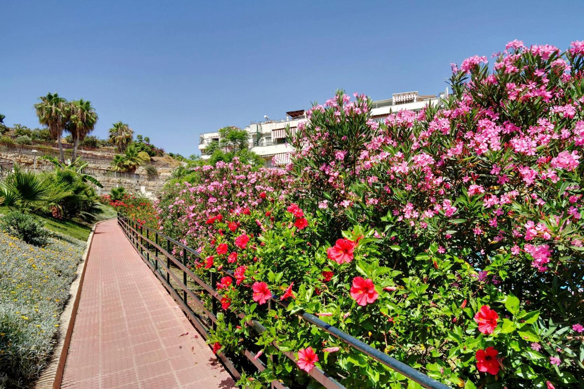 Del Parque Flats - Golf & Beach Terrace Малага Экстерьер фото